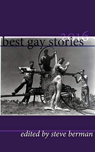 Cover for Best Gay Stories 2016