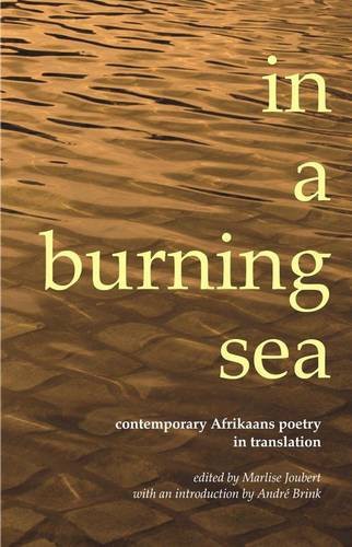 Cover for in a burning sea