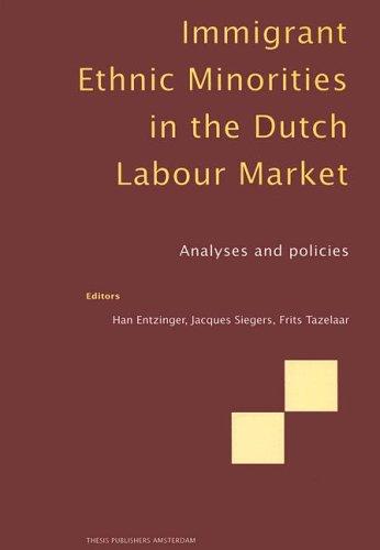 Cover for Immigrant ethnic minorities in the Dutch labour market