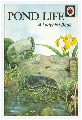 Cover for Pond Life