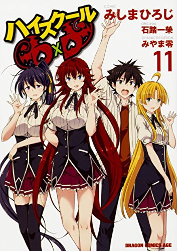 Cover for ハイスクールD×D 11