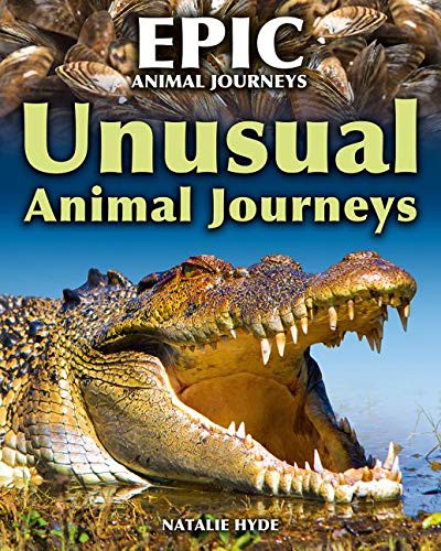 Cover for Unusual Animal Journeys