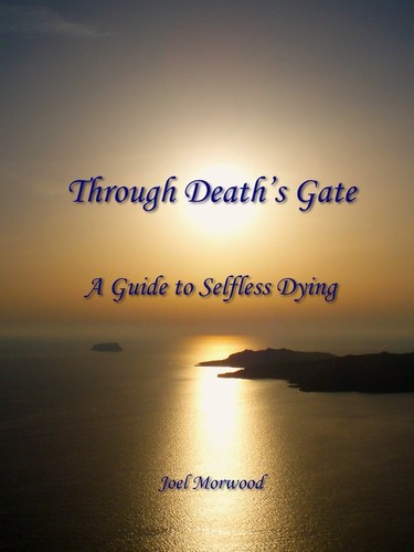 Cover for Through Death's Gate