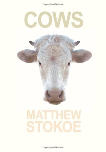 Cover for Cows