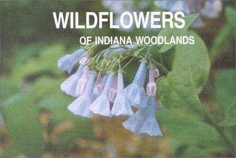 Cover for Wildflowers of Indiana woodlands