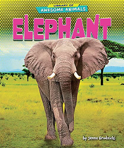 Cover for Elephant