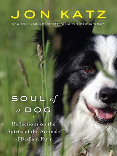 Cover for Soul of a Dog