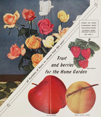 Cover for Spring - 1949