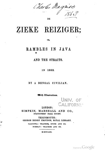 Cover for De Zieke Reiziger