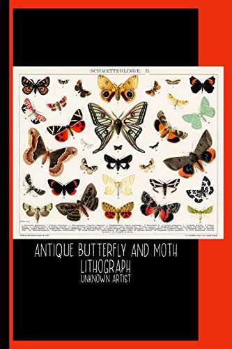 Cover for Antique Butterfly and Moth Lithograph Original Antique Insect Print by Unknown Artist : Sketch Book