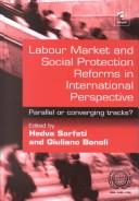 Cover for Labour market and social protection reforms in international perspective