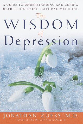 Cover for The wisdom of depression