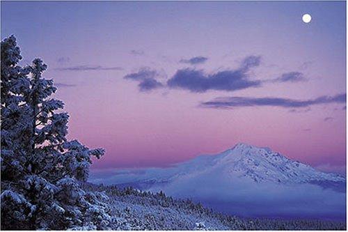 Cover for Winter Moon and Ponderosa Pines, Sierra Club Boxed Holiday Cards