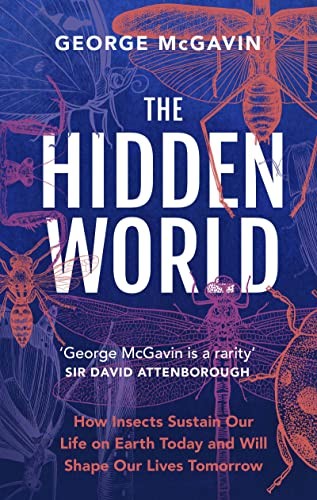 Cover for Hidden World