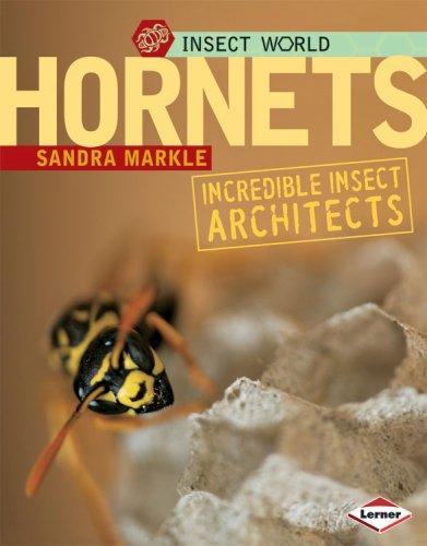 Cover for Hornets
