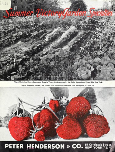 Cover for Summer victory garden specialties