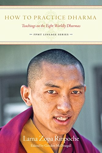 Cover for How to practice dharma