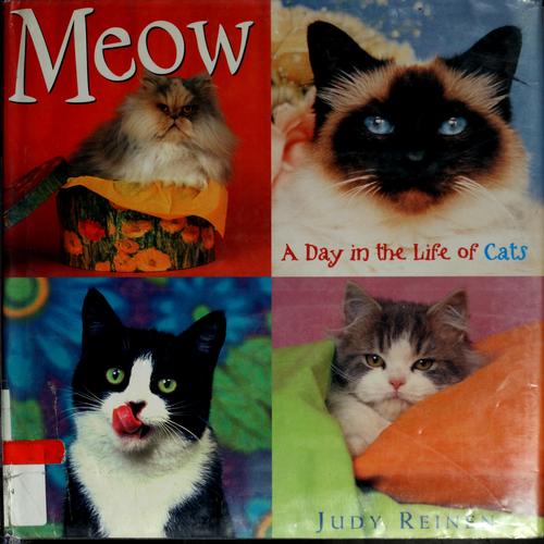 Cover for Meow