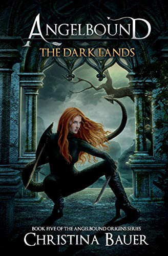 Cover for The Dark Lands