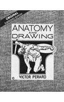 Cover for Anatomy & Drawing