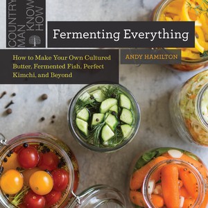 Cover for Fermenting Everything