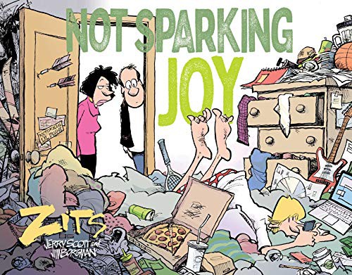 Cover for Not Sparking Joy