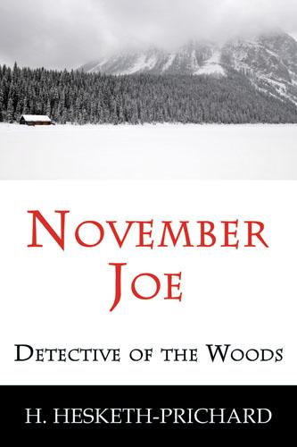 Cover for November Joe