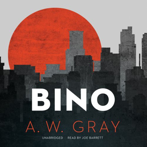 Cover for Bino