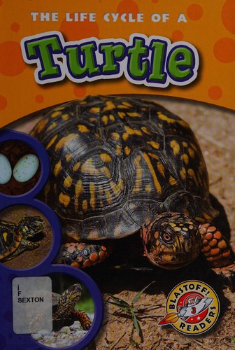 Cover for The life cycle of a turtle