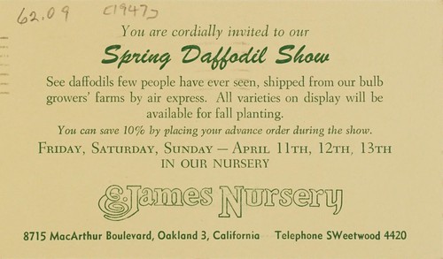 Cover for Spring Daffodil Show ...