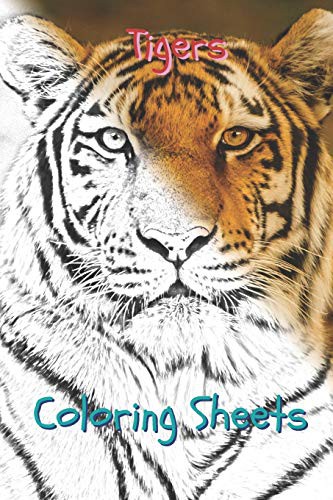 Cover for Tigers Coloring Sheets