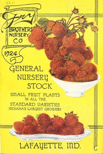 Cover for 1924 general nursery stock
