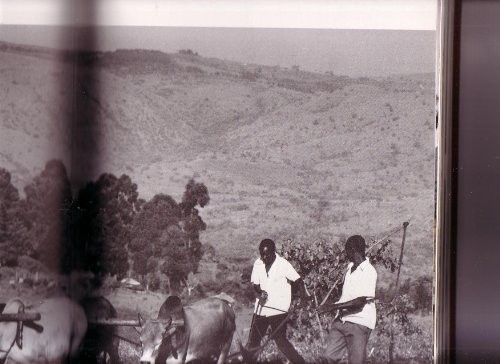 Cover for The book of Kenya
