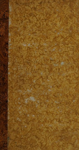 Cover for Hymenopterorum ichneumonibus affinium, monographi©Œ, genera Europ©Œa et species illustrantes