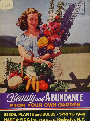 Cover for Beauty and abundance from your own garden
