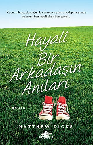 Cover for Hayali Bir Arkadasin Anilari