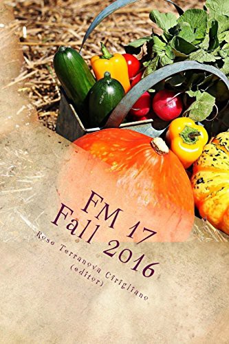 Cover for FM 17