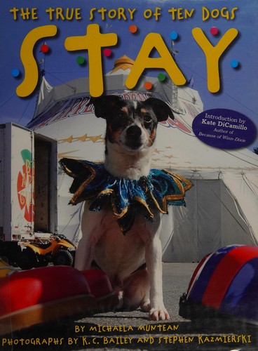 Cover for Stay