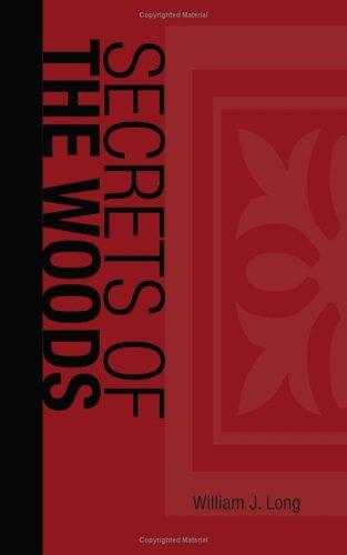 Cover for Secrets of the Woods