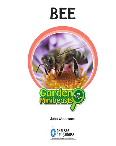Cover for Bee
