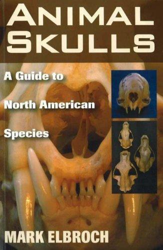 Cover for Animal Skulls