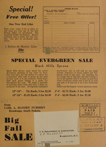 Cover for Big fall sale