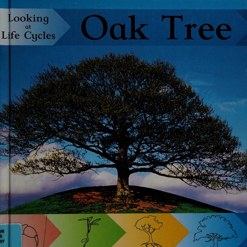 Cover for Oak tree