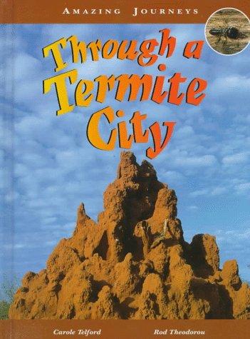 Cover for Through a termite city