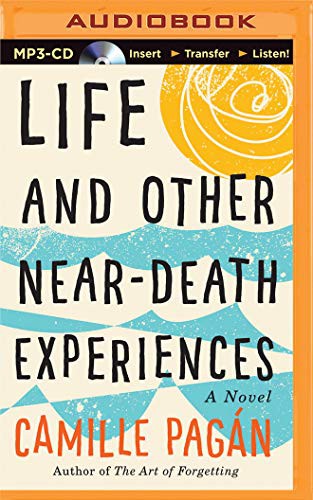 Cover for Life and Other Near-Death Experiences