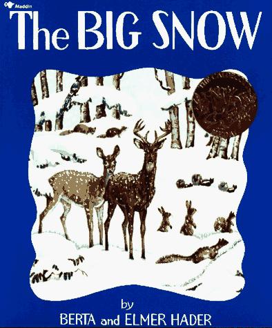 Cover for The big snow