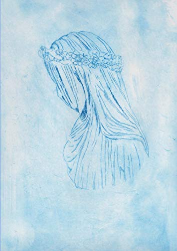 Cover for Under the Veil, a journey into mediumship