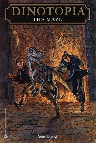 Cover for The maze