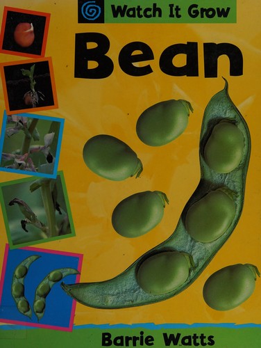 Cover for Bean