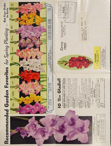 Cover for Recommended garden favorities for spring planting